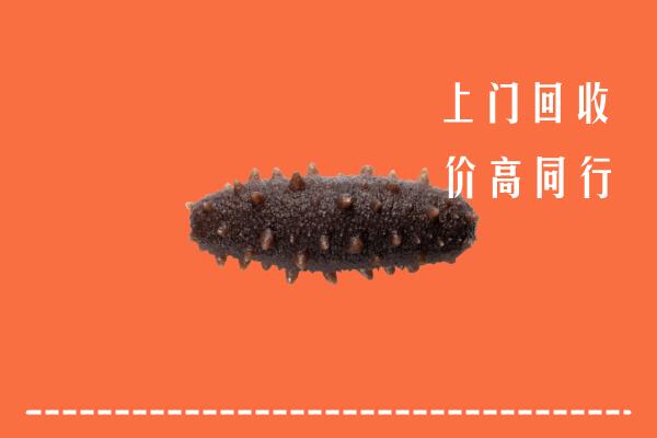 高价求购：曲靖市沾益回收海参