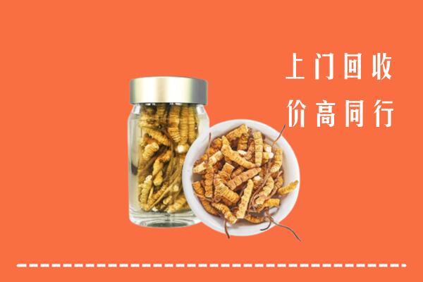 曲靖市沾益回收冬虫夏草