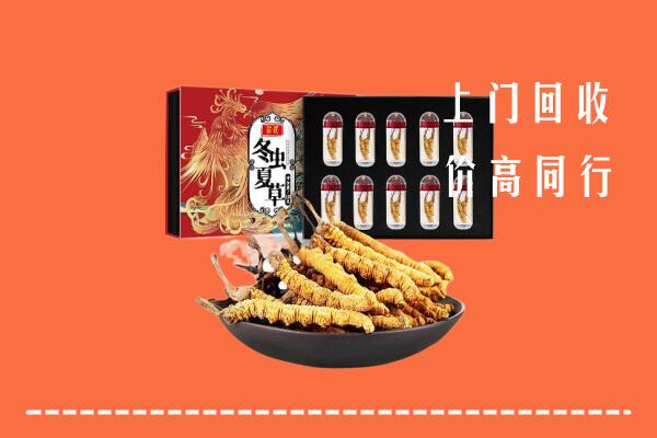 曲靖市沾益回收虫草